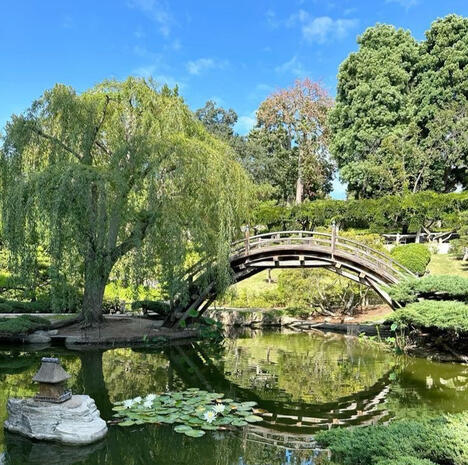 Asian style garden with pond