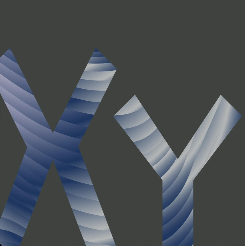 Xuan Yus original XY