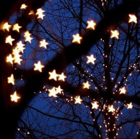 Star lights in tree at night
