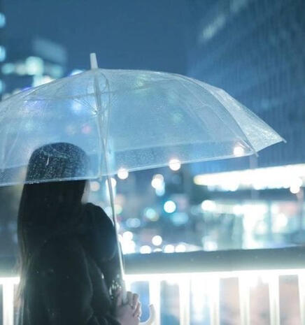 Clear Umbrella in Rain